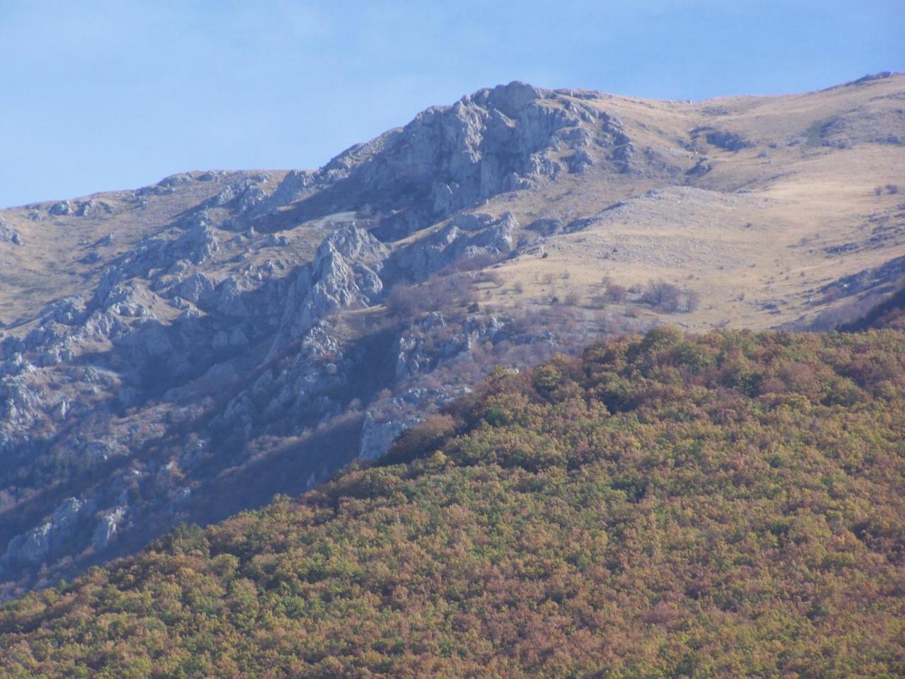 Vila Popovski Ljubaništa Exterior foto